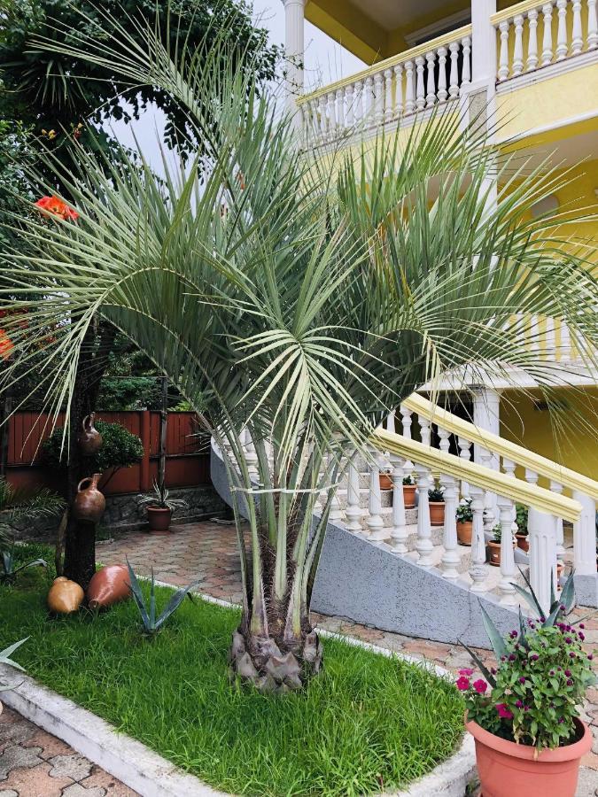 George'S House Hotel Кобулети Екстериор снимка